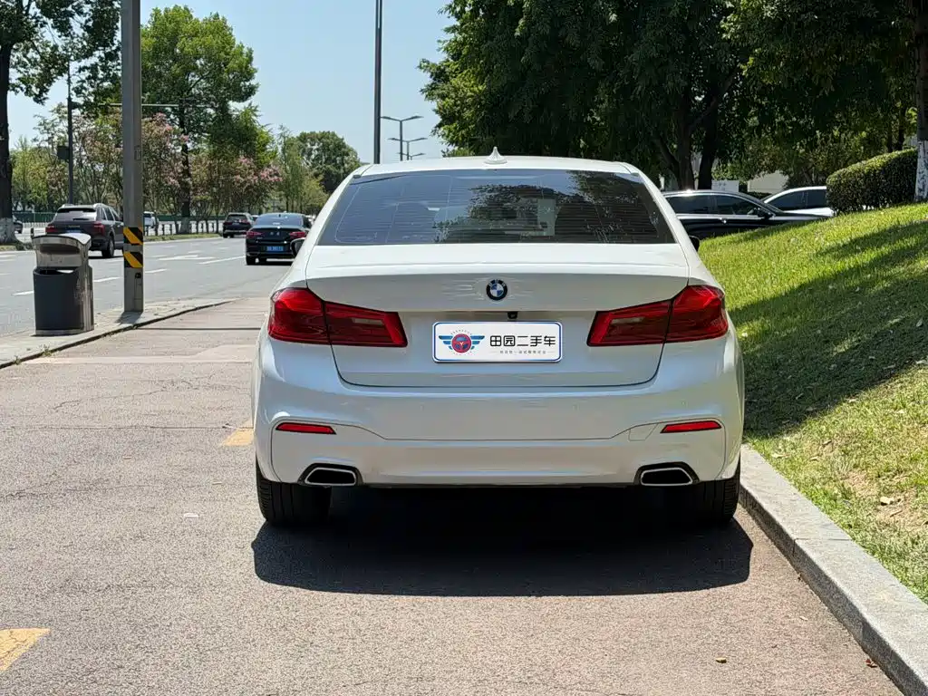BMW 5 Series 2019