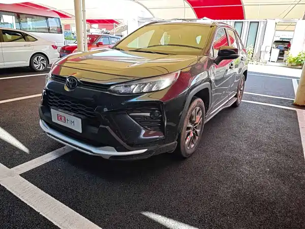 Toyota Wildlander 2021