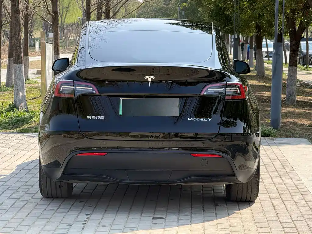 Tesla Model Y 2024 — фото 11