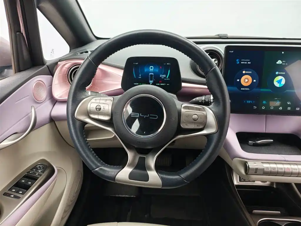 BYD Dolphin 2021
