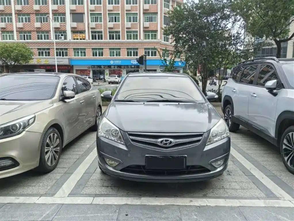 Hyundai Joyful 2010