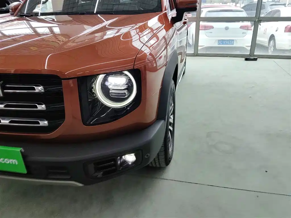 Haval Big Dog 2021 — фото 18