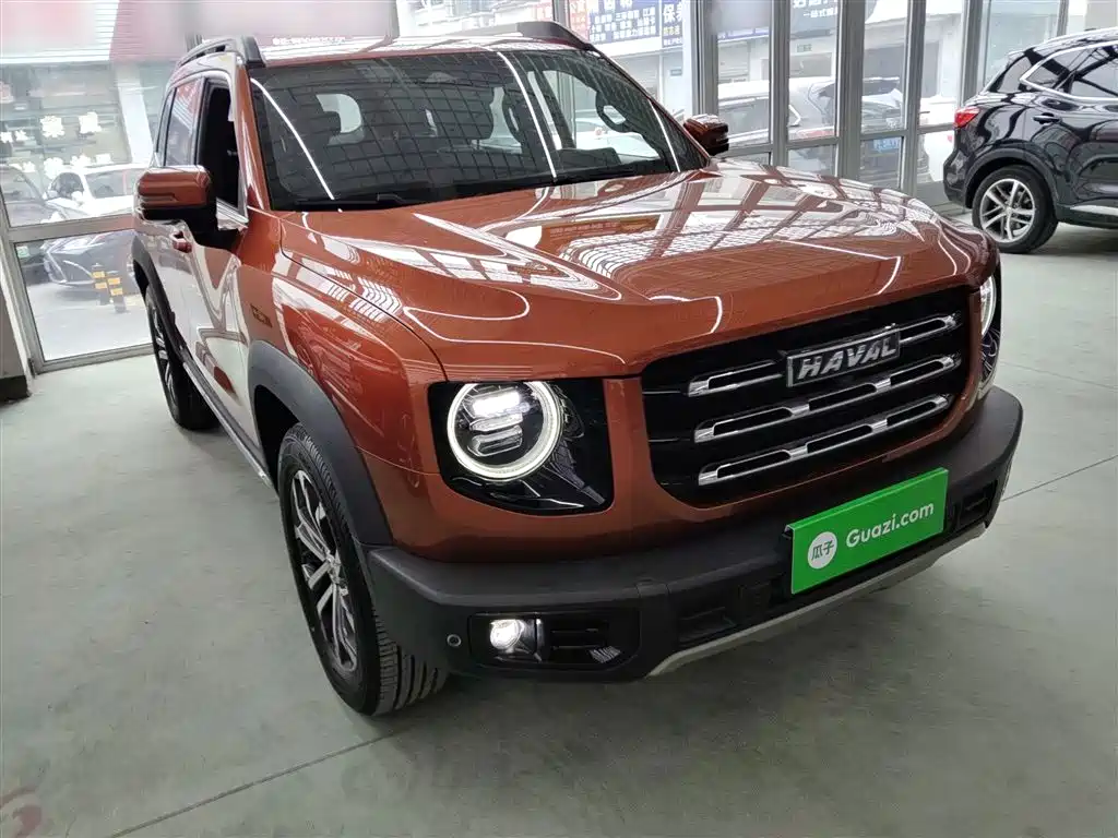 Haval Big Dog 2021 — фото 22