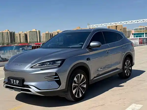 BYD Song PLUS New Energy 2025