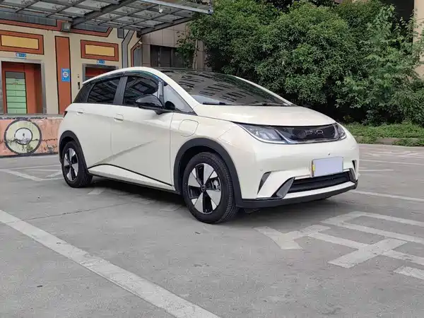 BYD Dolphin 2024