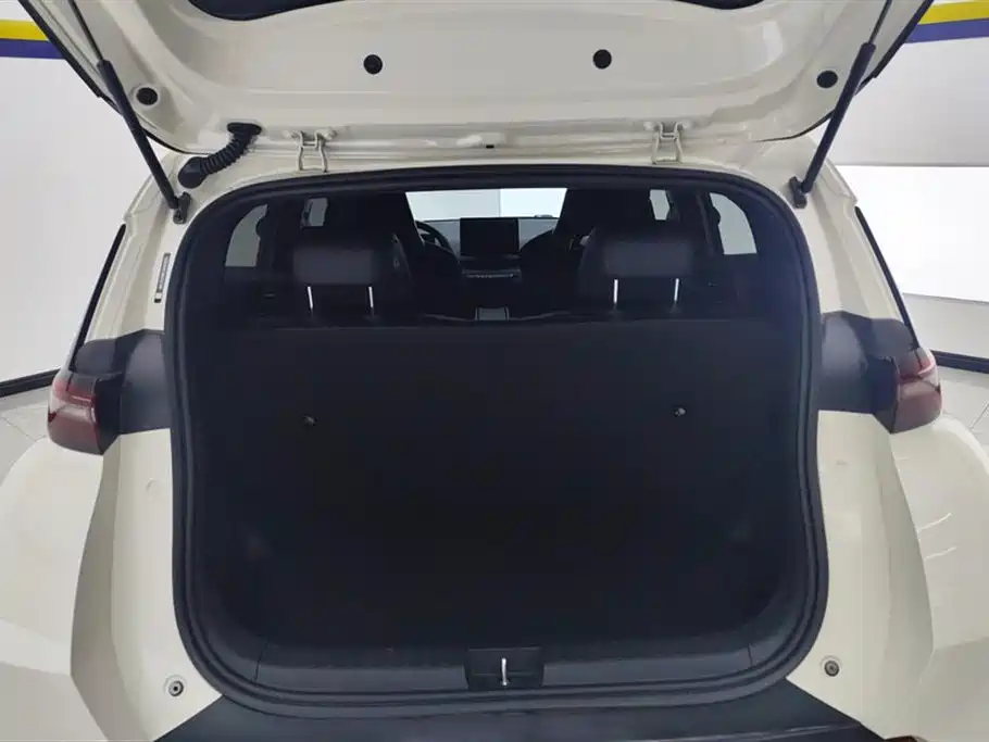 BYD Seagull 2024