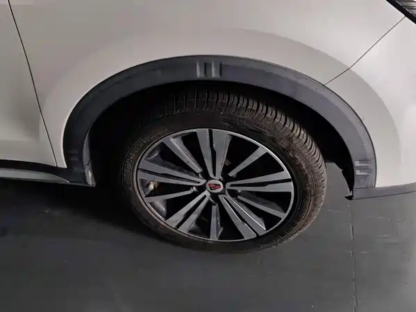 Roewe RX5 New Energy 2019