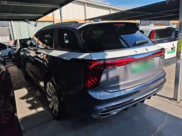 Hongqi E-HS9 2023