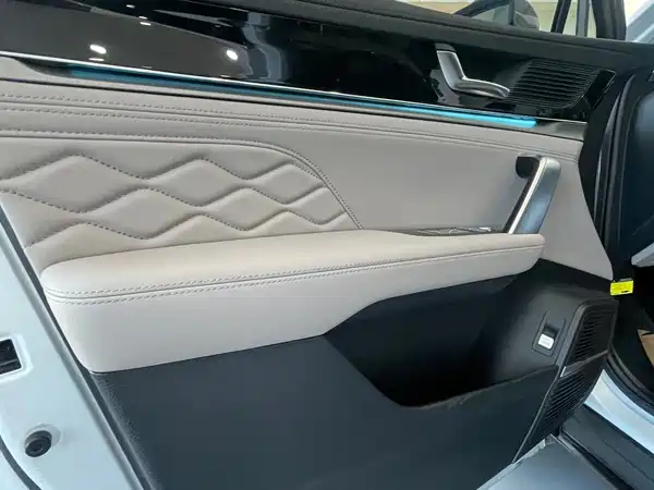 BYD Tang New Energy 2024
