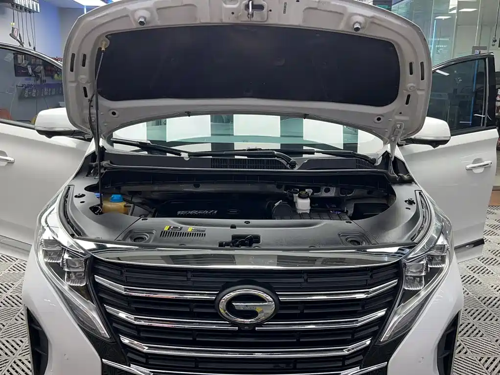GAC Trumpchi M8 2023 — фото 10