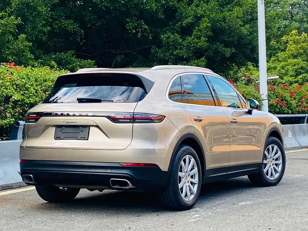 Porsche Cayenne 2019 — фото 10