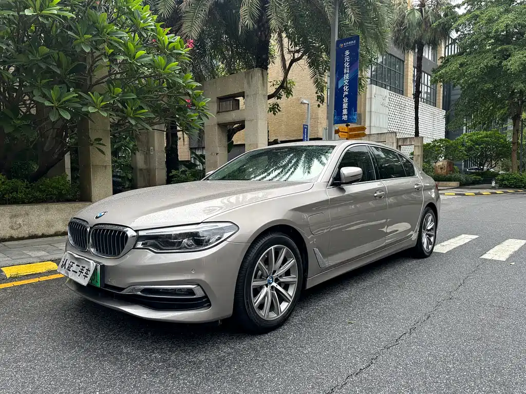 BMW 5 Series New Energy 2018