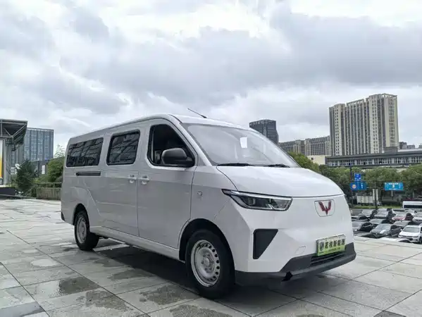 Wuling Yangguang 2024