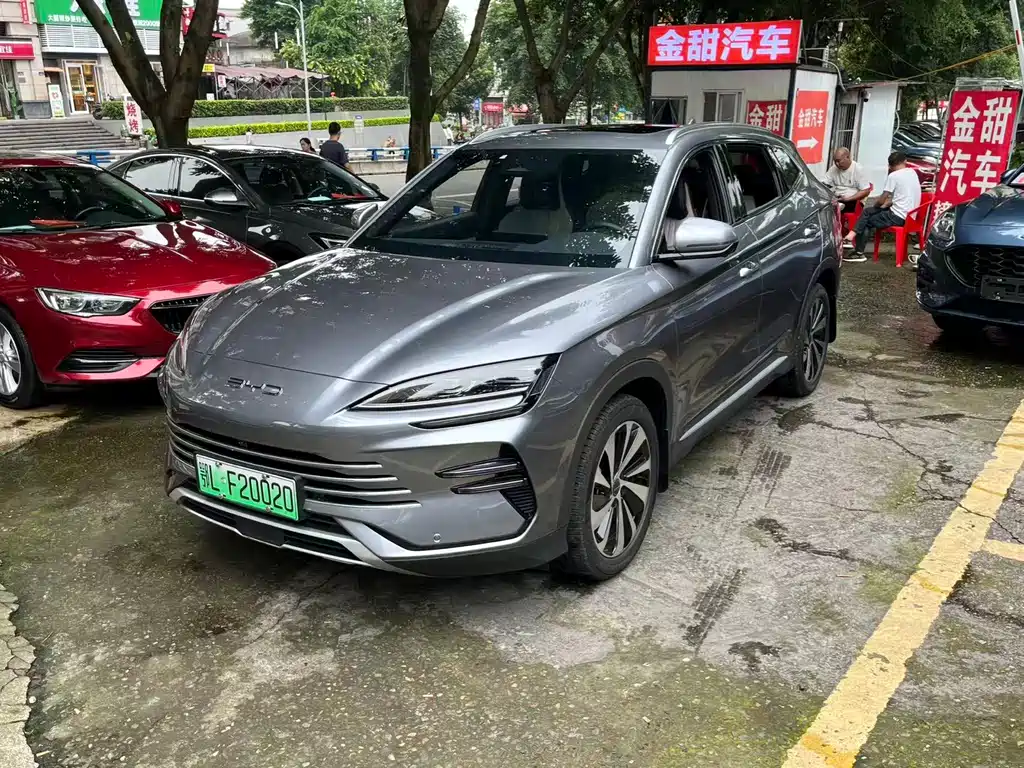 BYD PLUS New Energy 2024 — фото 3