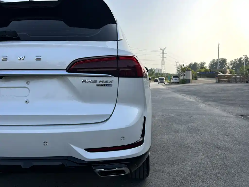 Roewe RX5 MAX 2022 — фото 21