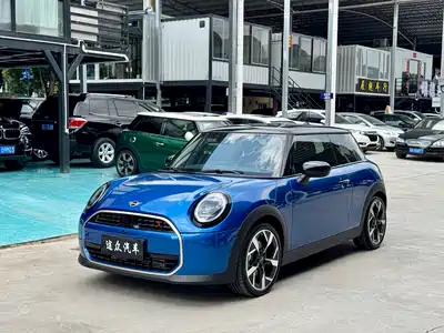 MINI MINI 2025