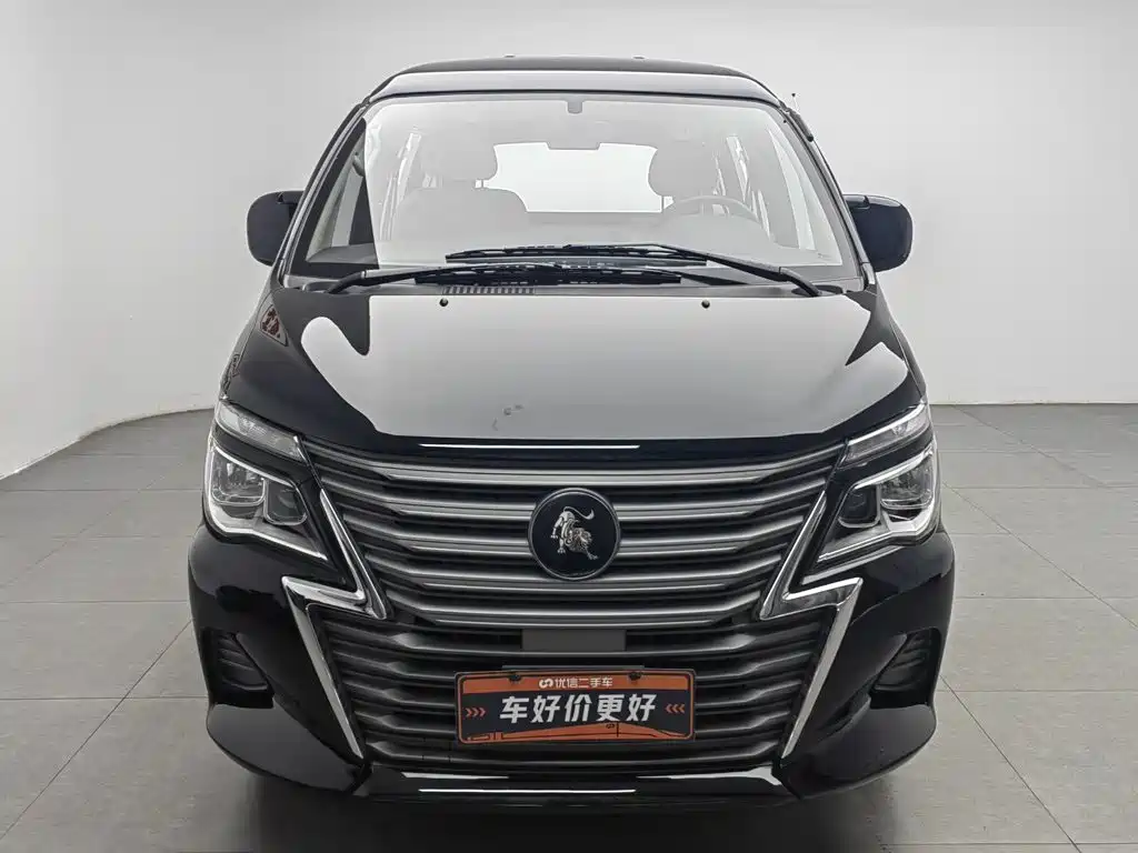 Dongfeng Lingzhi 2025