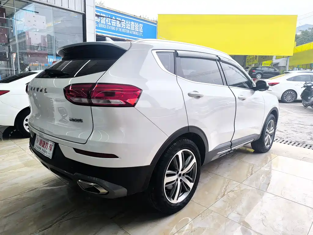 Haval H6 2019 — фото 11