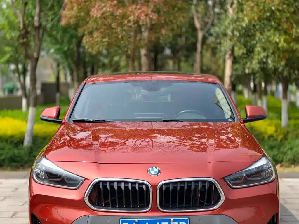 BMW X2 2022 — фото 2