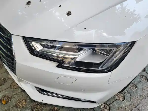 Audi A4L 2019