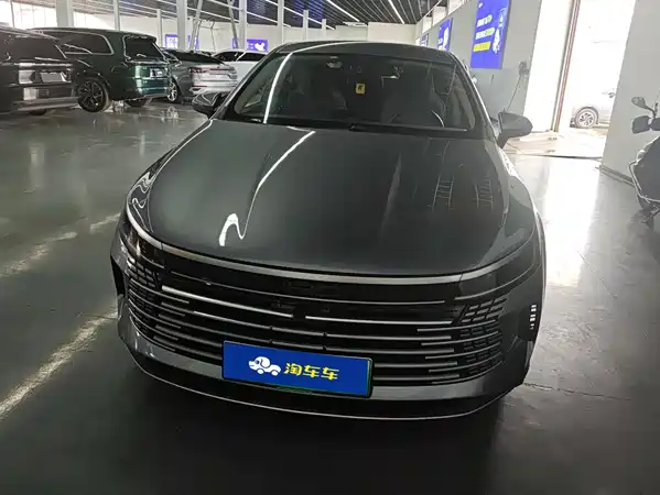 BYD Destroyer 05 2024
