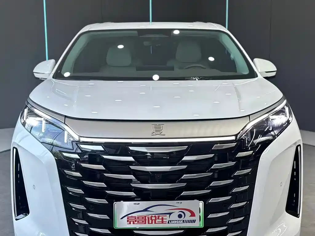 BYD Xia 2025