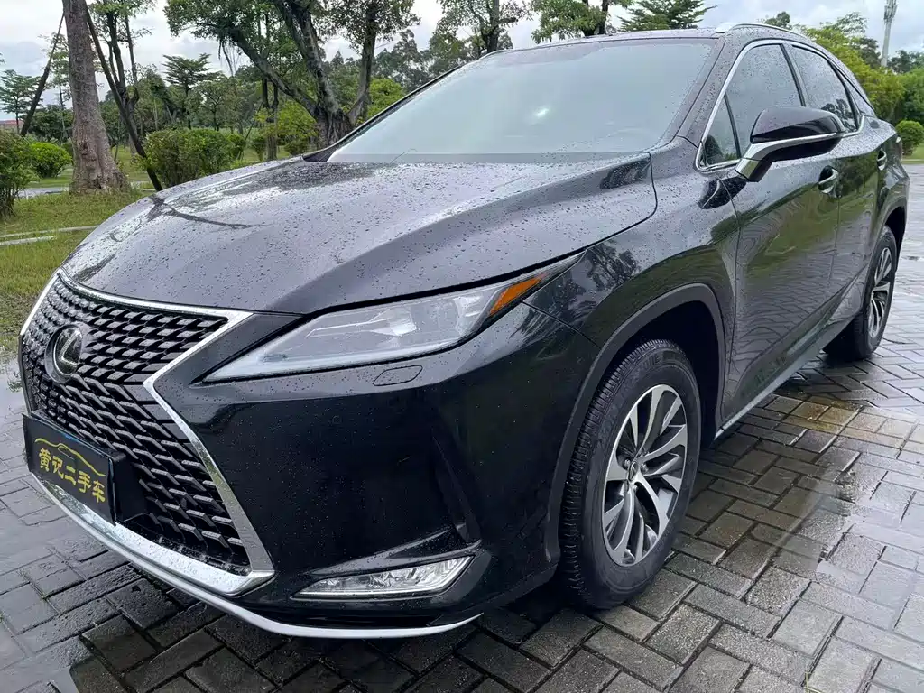 Lexus RX 2020 — фото 9