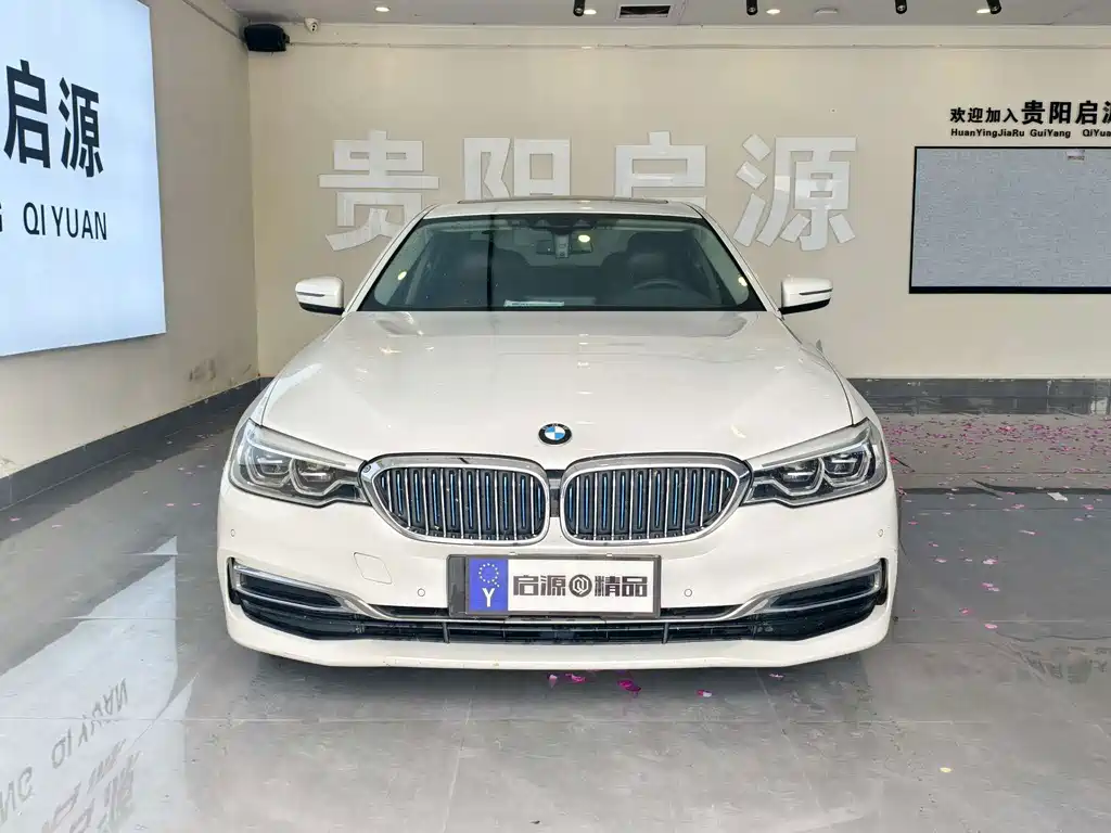 BMW 5 Series New Energy 2019