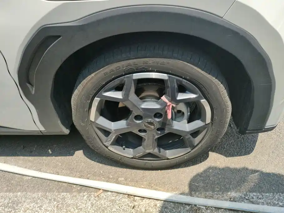 BYD Seagull 2024