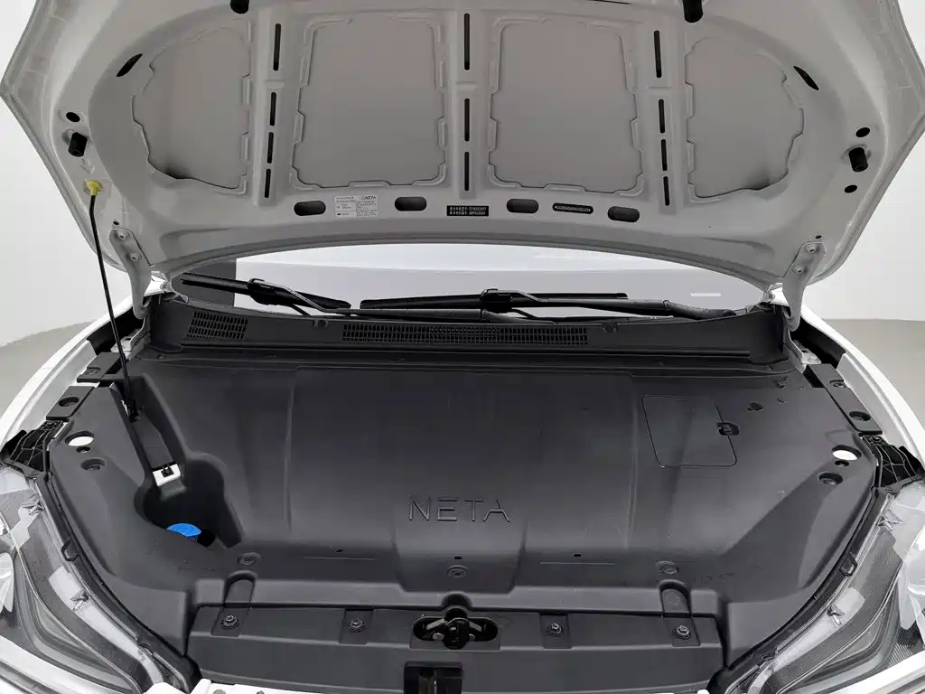 Neta V 2022