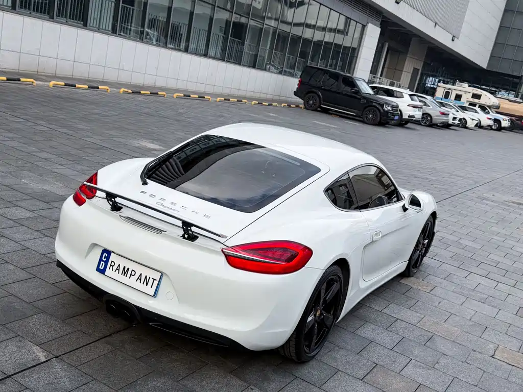 Porsche Cayman 2014 — фото 8