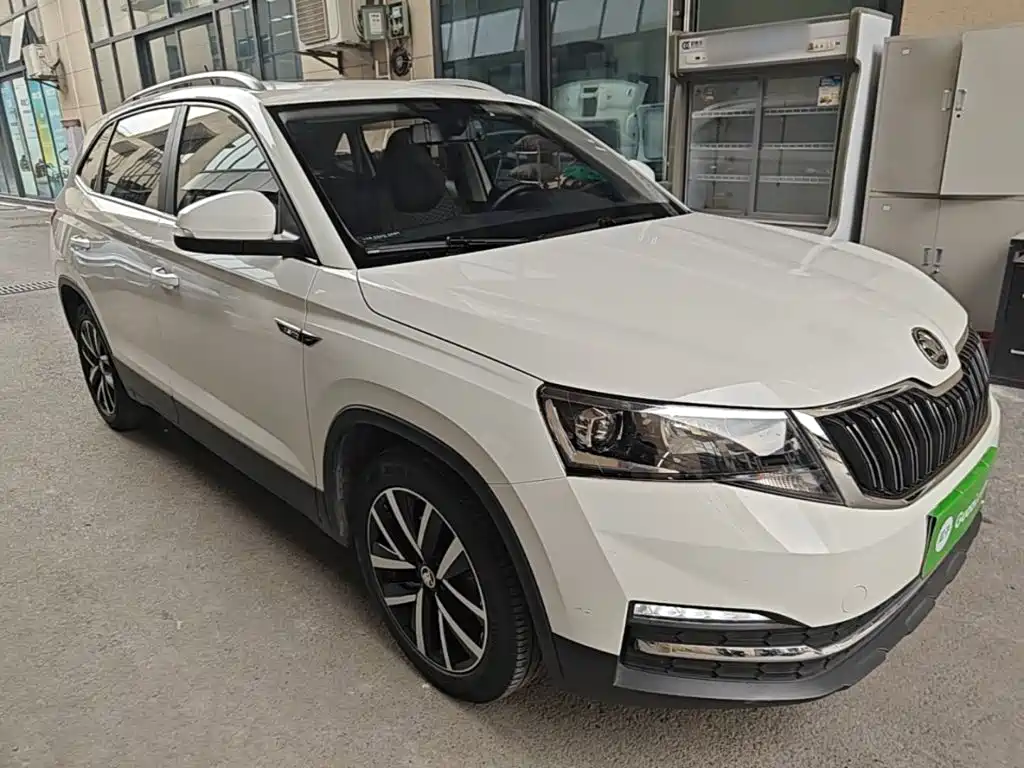 Skoda Kamiq 2019 — фото 22