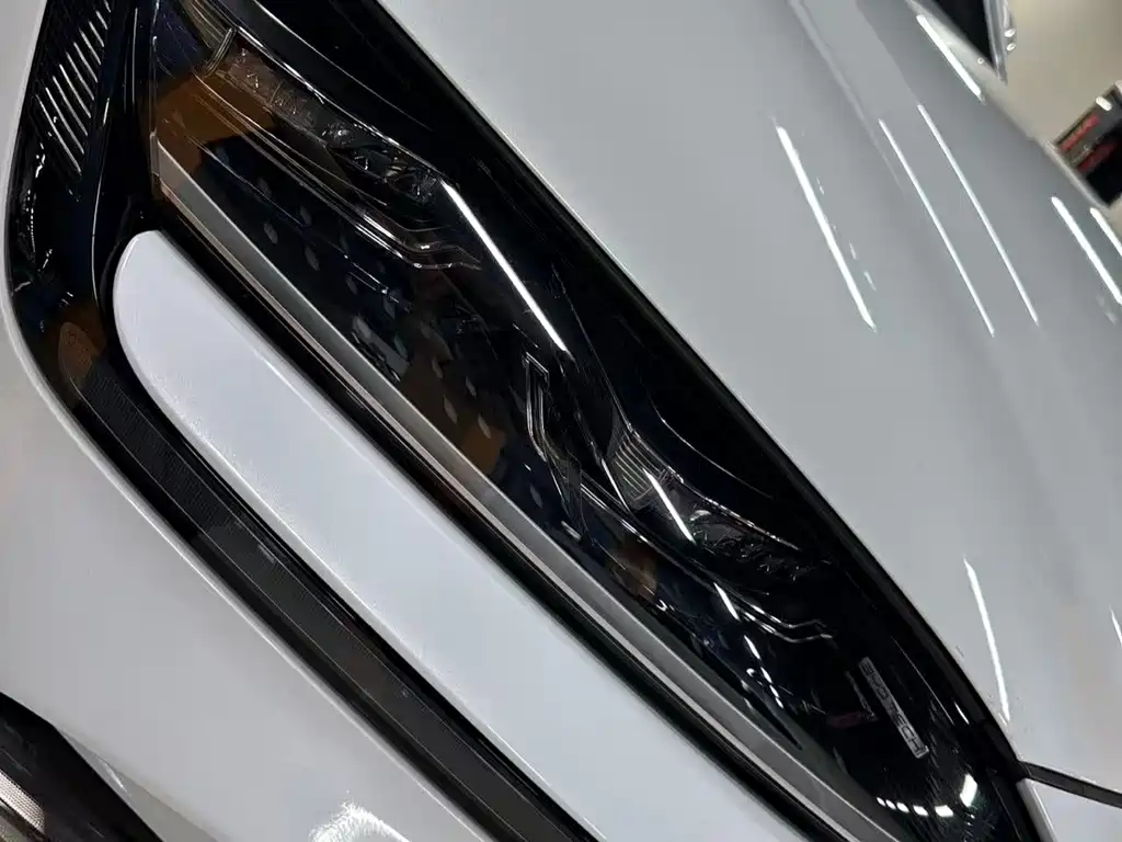 BYD Song PLUS New Energy 2024 — фото 17