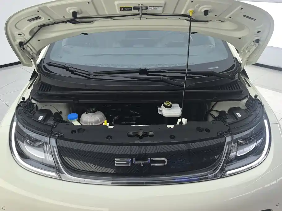 BYD Dolphin 2023 — фото 10