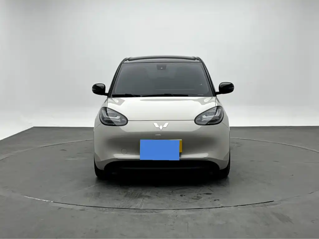 Wuling Bingo 2024