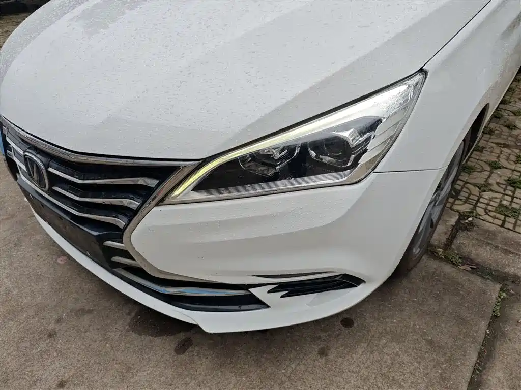 Changan Eado DT 2019 — фото 23