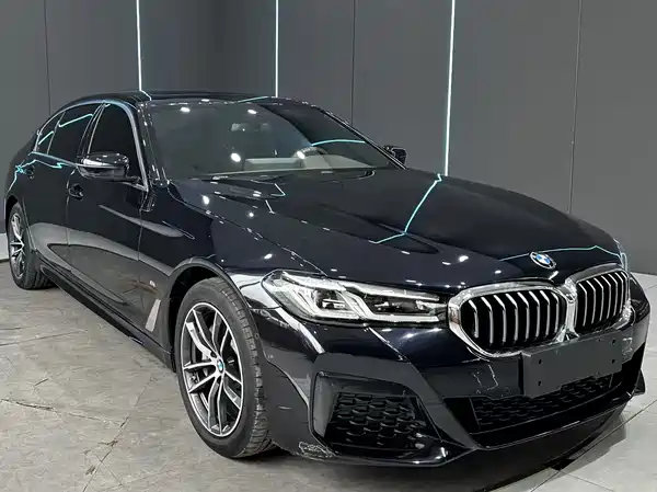 BMW 5 Series New Energy 2021