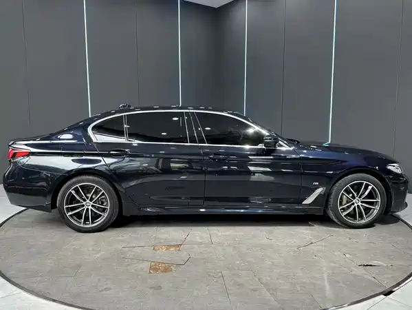BMW 5 Series New Energy 2021