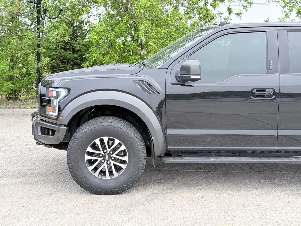 Ford F-150 Raptor 2020 — фото 14