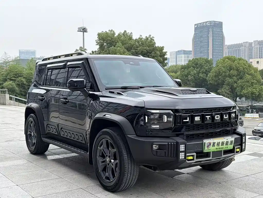 Shanhai Traveller C-DM 2024 — фото 3