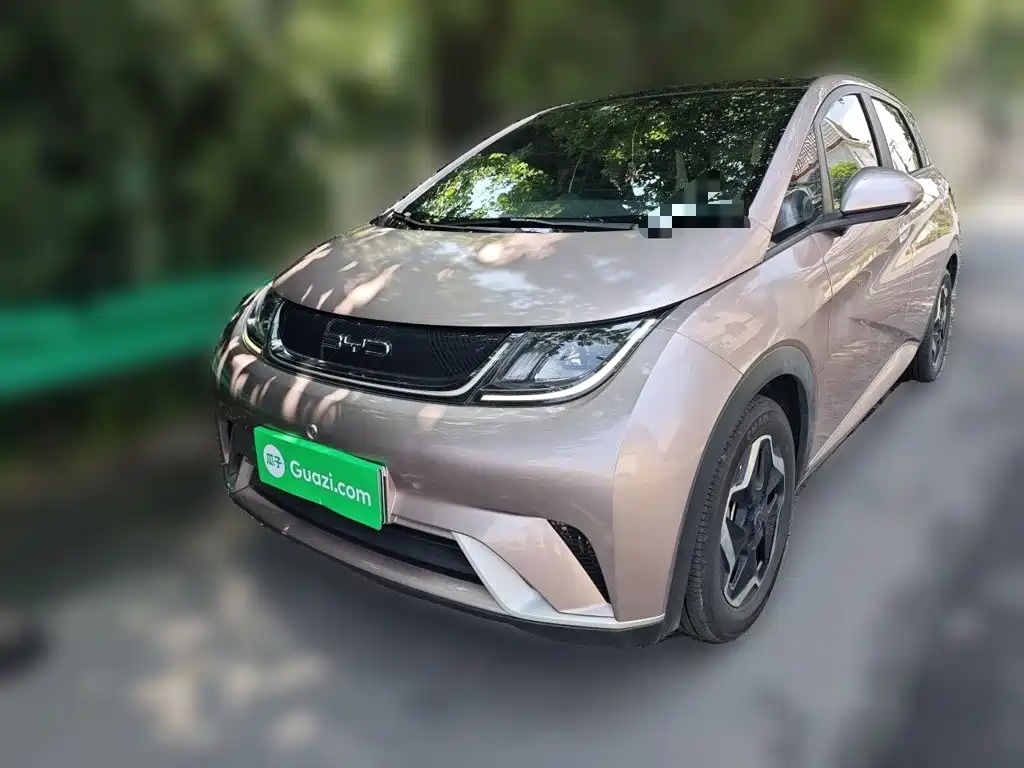 BYD Dolphin 2022