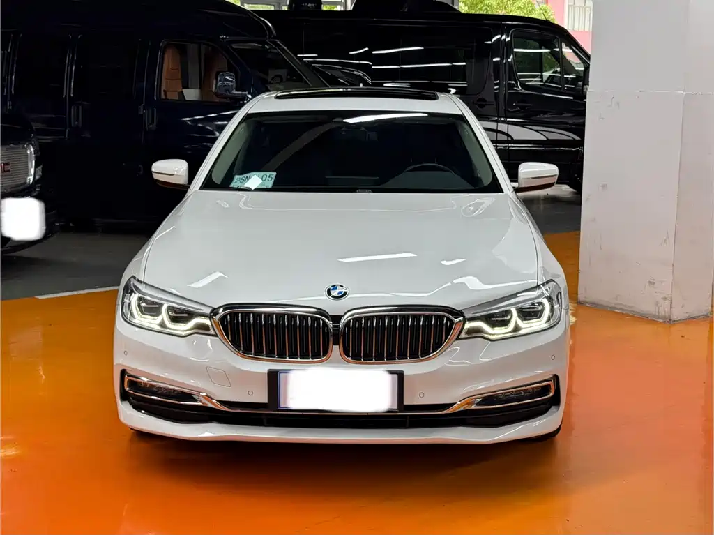 BMW 5 Series New Energy 2019 — фото 1