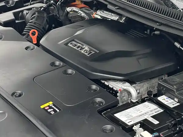 Tank 500 New Energy 2024