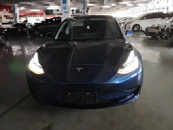 Tesla Model 3 2020