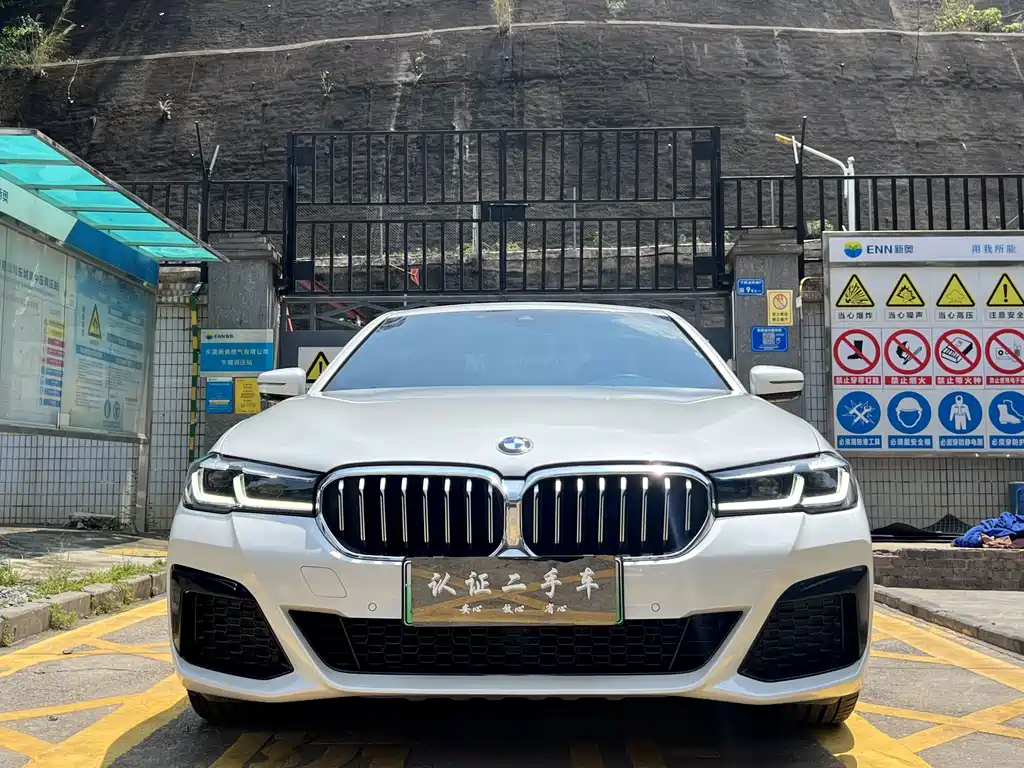 BMW 5 Series New Energy 2021 — фото 2