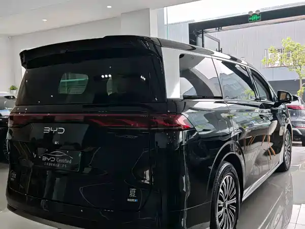 BYD Summer 2025