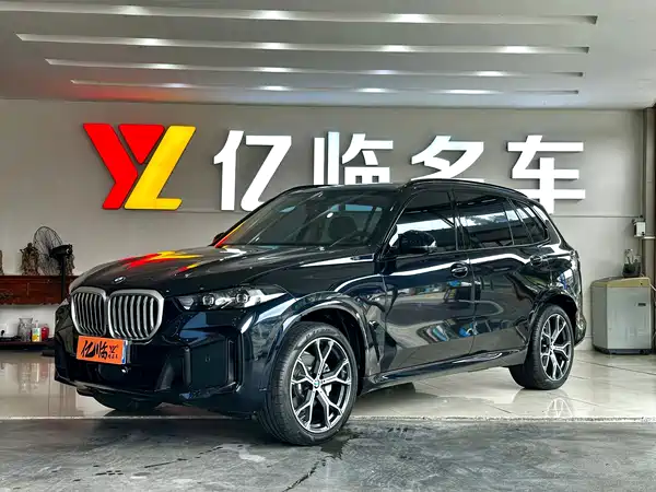 BMW X5 2025