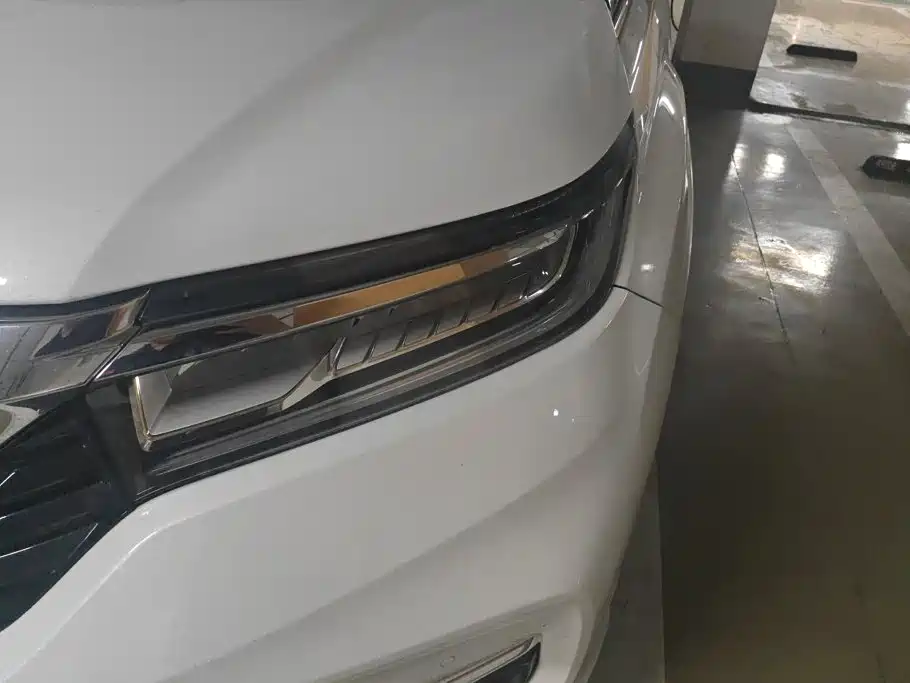 Honda Avancier 2022