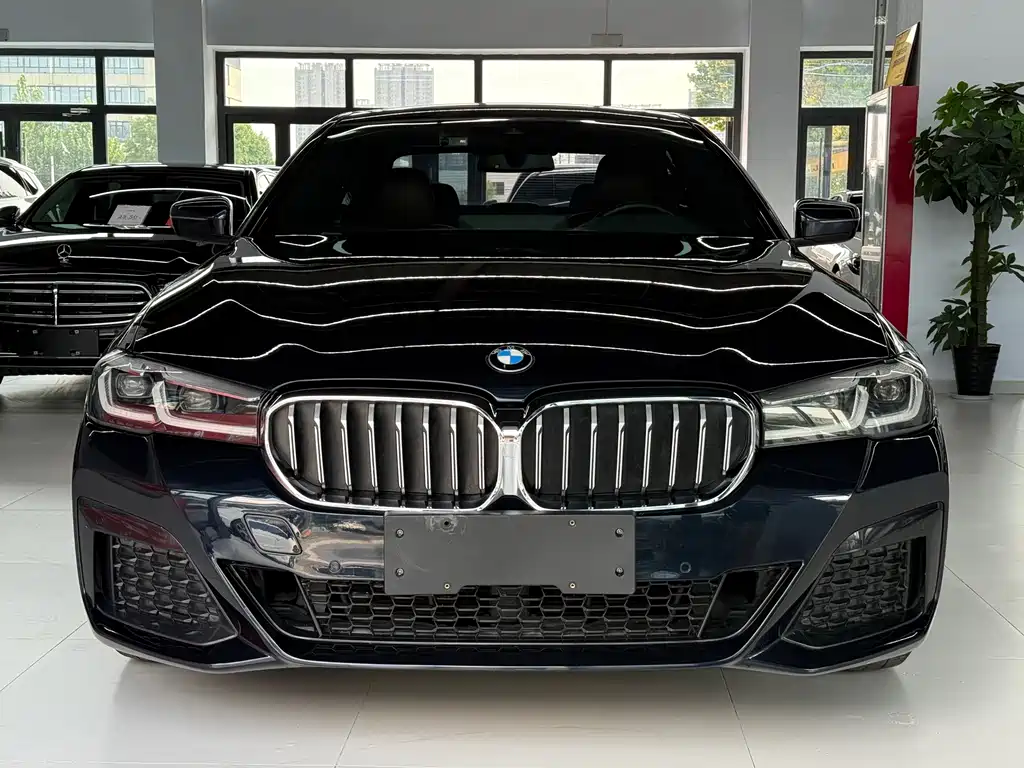 BMW 5 Series 2021