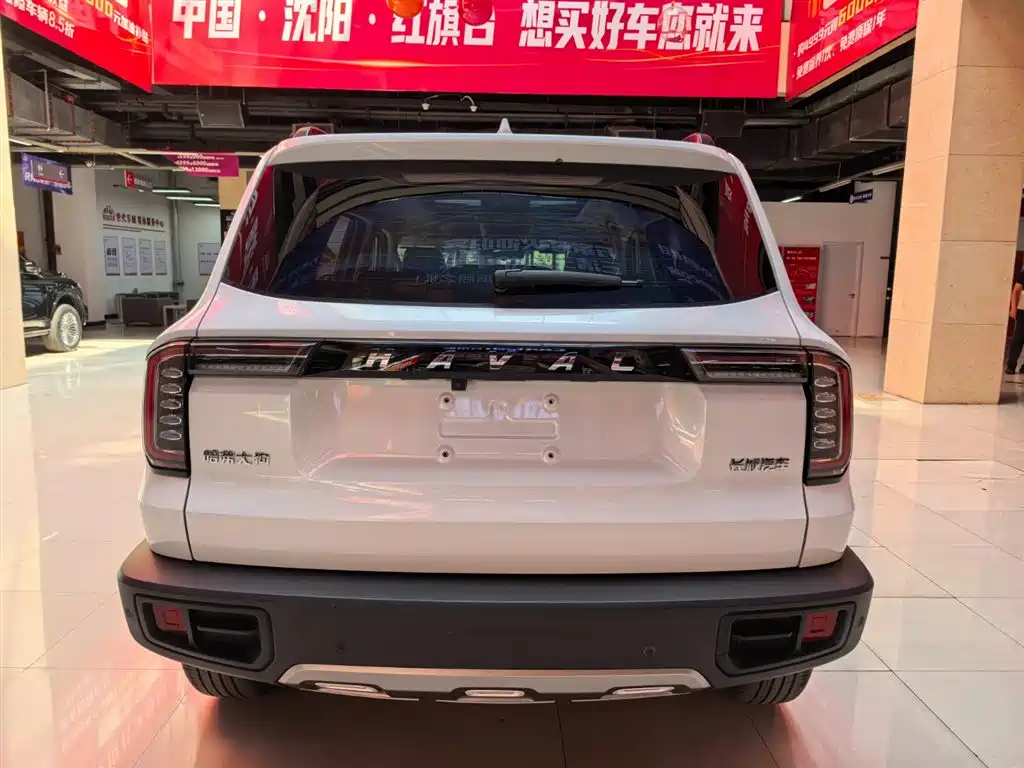 Haval Big Dog 2021 — фото 7